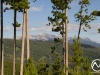 Looking east to the Bridger Mountains