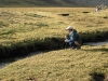 peru06-109