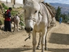 peru06-59